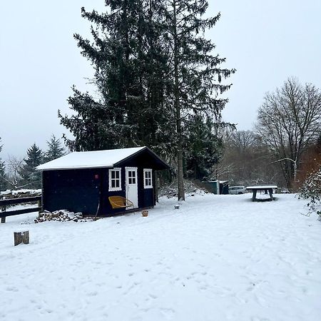 Wunderschoenes Chalet Mit Gaestehaus In Der Natur Mit Fass-Sauna Sangerhausen Exterior photo